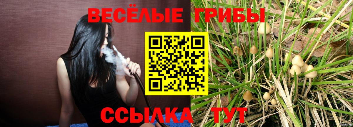Галлюциногенные грибы мицелий Чапаевск