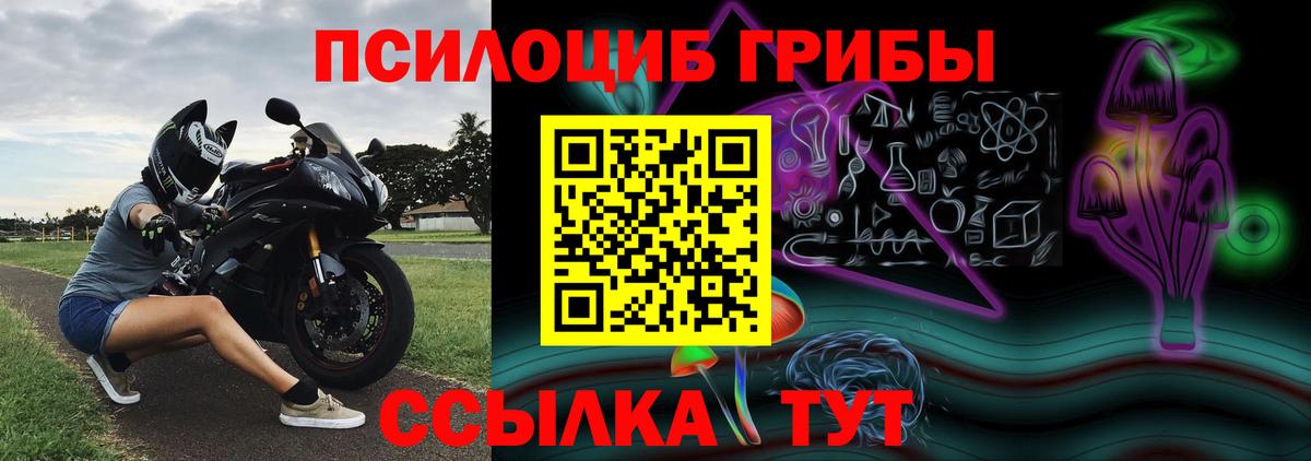 продажа наркотиков  Псилоцибиновые грибы Magic Shrooms  Вход с VPN  Чапаевск 
